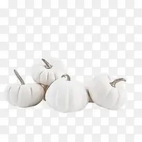 白色 植物 食物-空若网 白色 植物 食物-空若网