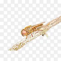 卡通 铜管乐器 昆虫-空若网 卡通 铜管乐器 昆虫-空若网