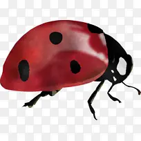 À¥³æ ư³æ ¼×³æ-¿ÕÈôÍø À¥³æ ư³æ ¼×³æ-¿ÕÈôÍø