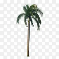 ²É¹º²úÆ·Ê÷ רéµÊ÷ éÄÀÆ-¿ÕÈôÍø ²É¹º²úÆ·Ê÷ רéµÊ÷ éÄÀÆ-¿ÕÈôÍø