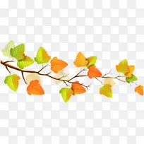 叶子 橙色 树枝-空若网 叶子 橙色 树枝-空若网