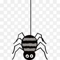 蜘蛛 万圣节-空若网 蜘蛛 万圣节-空若网