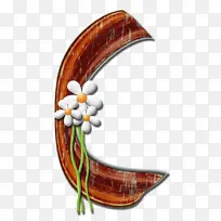 ��ɫ-������