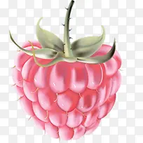 ˮ�� ���� ֲ��-������