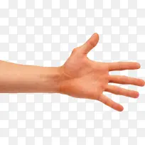 手指 手 皮肤-空若网 手指 手 皮肤-空若网