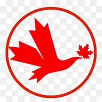 ��-������