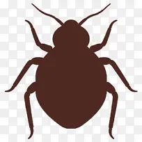 ���� ���� ������-������