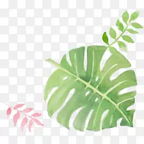 Ë®²Ê»-Ë®²Ê»Ò¶-¿ÕÈôÍø Ë®²Ê»-Ë®²Ê»Ò¶-¿ÕÈôÍø