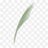 草 叶 植物-空若网 草 叶 植物-空若网