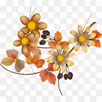 ���ܻ����������-ˮ�ʻ�Ҷ-������