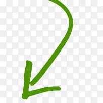 线条 植物 标志-空若网 线条 植物 标志-空若网