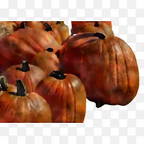 �Ϲ� �������� �߲�-������