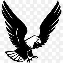 鸟 鹰 翅膀-空若网 鸟 鹰 翅膀-空若网