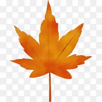 Ë®²Ê» ÓÍÆá ʪī-¿ÕÈôÍø Ë®²Ê» ÓÍÆá ʪī-¿ÕÈôÍø