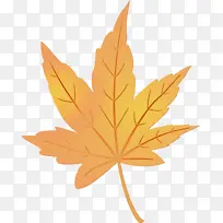 Ë®²Ê» ÓÍÆá ʪī-¿ÕÈôÍø Ë®²Ê» ÓÍÆá ʪī-¿ÕÈôÍø