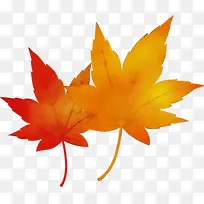 Ë®²Ê» ÓÍÆá ʪī-¿ÕÈôÍø Ë®²Ê» ÓÍÆá ʪī-¿ÕÈôÍø