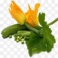 植物 蔬菜 花卉-空若网 植物 蔬菜 花卉-空若网