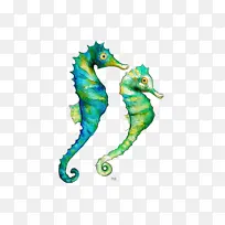 海马 北海马 绿色-空若网 海马 北海马 绿色-空若网