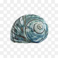 蓝色 绿松石色 水绿色-空若网 蓝色 绿松石色 水绿色-空若网