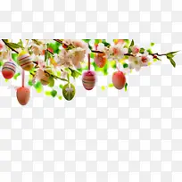 花 春天-空若网 花 春天-空若网