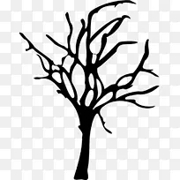 树木 树枝 叶子-空若网 树木 树枝 叶子-空若网