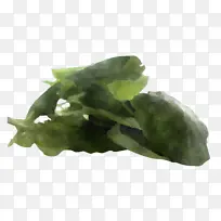 Ҷ Ҷ���߲� ֲ��-������