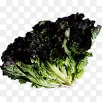 叶菜 蔬菜 食品-空若网 叶菜 蔬菜 食品-空若网
