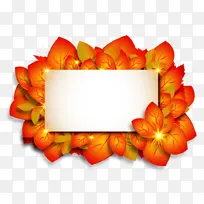 橙色 黄色 花瓣-空若网 橙色 黄色 花瓣-空若网