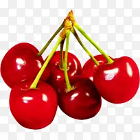 ��ȻʳƷ ӣ�� ˮ��-������