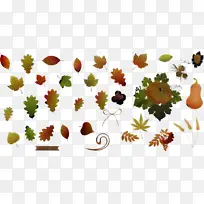 叶子 植物 树-空若网 叶子 植物 树-空若网