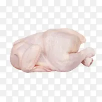 ·ÛÉ« ±Ç×Ó ¼¦ÐØÈâ-¿ÕÈôÍø ·ÛÉ« ±Ç×Ó ¼¦ÐØÈâ-¿ÕÈôÍø