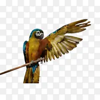 手 手指 手势-空若网 手 手指 手势-空若网