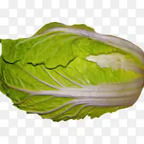 卷心菜 蔬菜 冰堡生菜-空若网 卷心菜 蔬菜 冰堡生菜-空若网