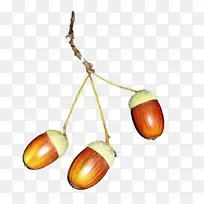 ���� �� ���-������