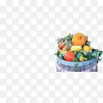 天然食品 全食 本地食品-空若网 天然食品 全食 本地食品-空若网