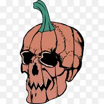 头 南瓜 蔬菜-空若网 头 南瓜 蔬菜-空若网