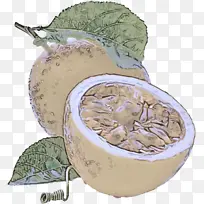 ֲ�� ʳƷ ˮ��-������