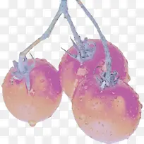 植物 水果 食物-空若网 植物 水果 食物-空若网