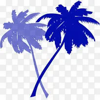 叶 棕榈树 植物-空若网 叶 棕榈树 植物-空若网