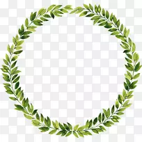 花环叶水彩画摄影.水彩叶-空若网 花环叶水彩画摄影.水彩叶-空若网