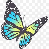 �ɶ�ͺ��� ���� ����-������