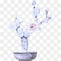 花 树 植物-空若网 花 树 植物-空若网