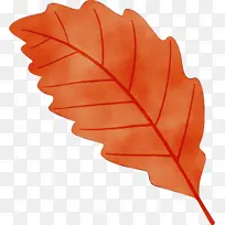 Ë®²Ê» ÓÍÆá ʪī-¿ÕÈôÍø Ë®²Ê» ÓÍÆá ʪī-¿ÕÈôÍø