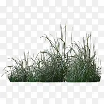 水彩画 颜料 湿墨-空若网 水彩画 颜料 湿墨-空若网