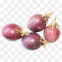 ʳƷ ֲ�� �ܲ�-������