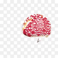 食物-空若网 食物-空若网