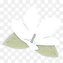 Ҷ�� ��� ֲ��-������