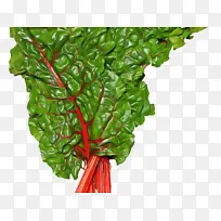 ��� Ҷ���߲� �߲�-������