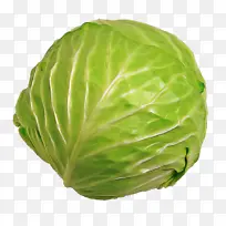 ���Ĳ� ����ݫ�� �߲�-������