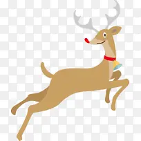 ѱ¹ ʥ����ѱ¹ ʥ����-������